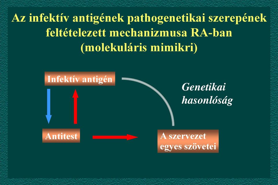 (molekuláris mimikri) Infektív antigén