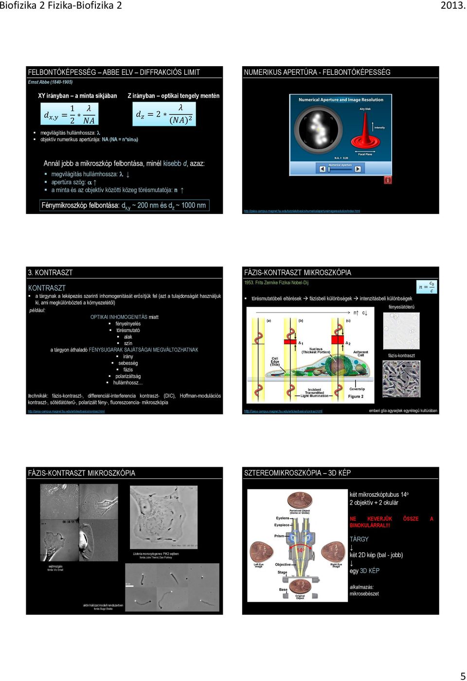 törésmutatója: n Fénymikroszkóp felbontása: d x,y ~ 200 nm és d z ~ 1000 nm http://zeiss-campus.magnet.fsu.edu/tutorials/basics/numericalapertureimageresolution/index.html 3.