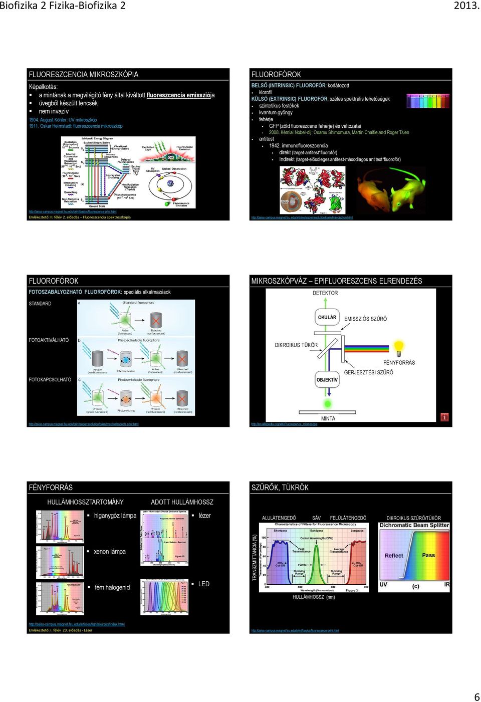 fehérje GFP (zöld fluoreszcens fehérje) és változatai 2008. Kémiai Nobel-díj: Osamu Shimomura, Martin Chalfie and Roger Tsien antitest 1942.