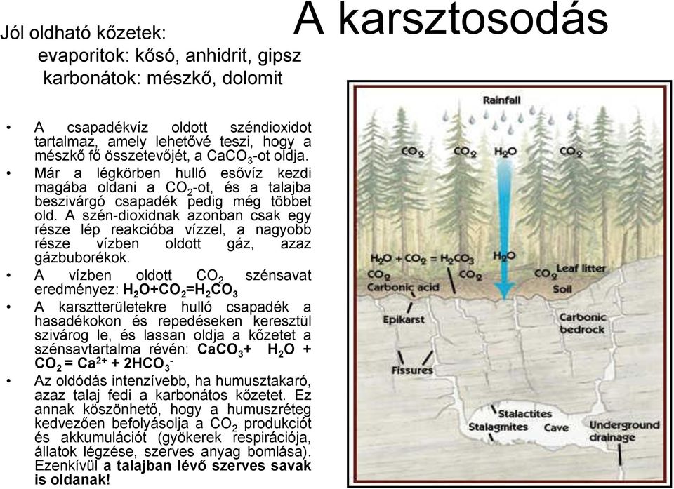 A szén-dioxidnak azonban csak egy része lép reakcióba vízzel, a nagyobb része vízben oldott gáz, azaz gázbuborékok.