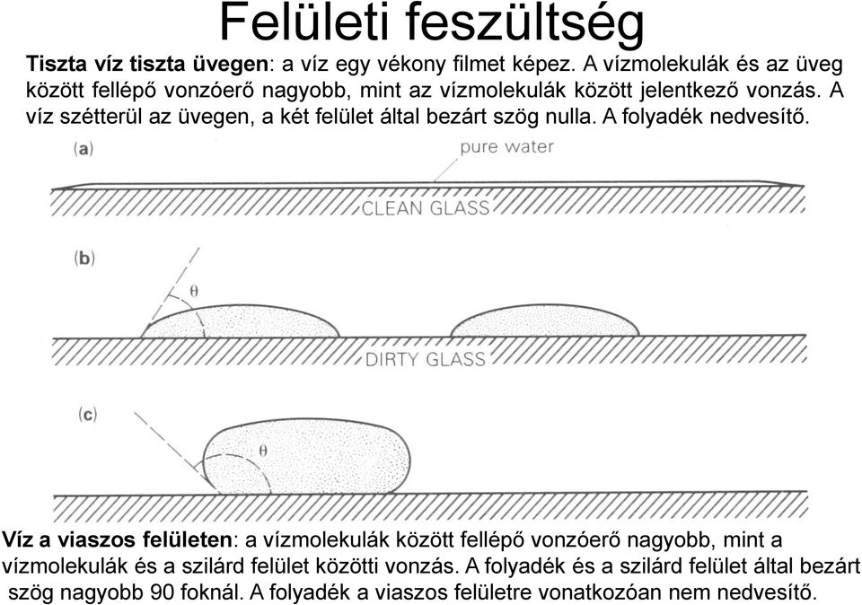 A víz szétterül az üvegen, a két felület által bezárt szög nulla. A folyadék nedvesítő.