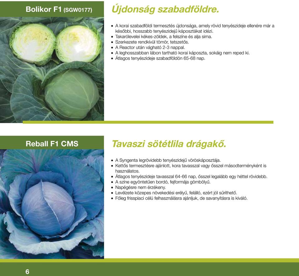 Átlagos tenyészideje szabadföldön 65-68 nap. Reball F1 CMS Tavaszi sötétlila drágakô. A Syngenta legrövidebb tenyészidejû vöröskáposztája.