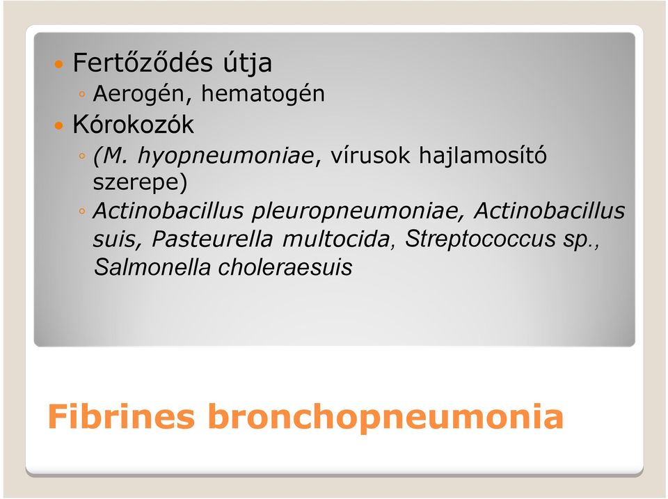 pleuropneumoniae, Actinobacillus suis, Pasteurella