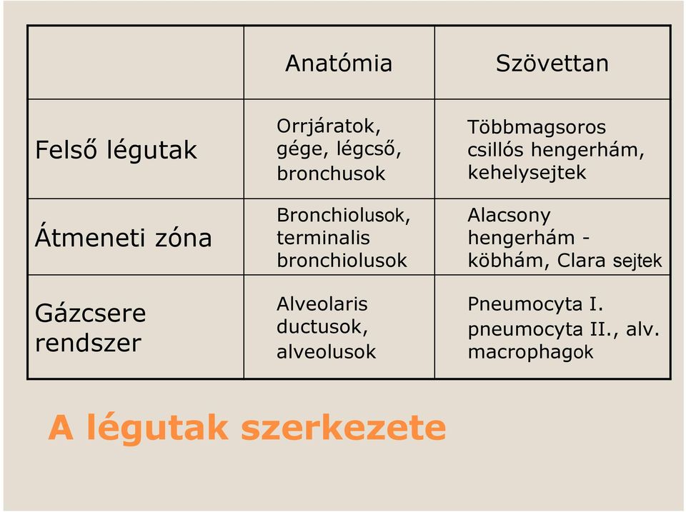 ductusok, alveolusok Többmagsoros csillós hengerhám, kehelysejtek Alacsony