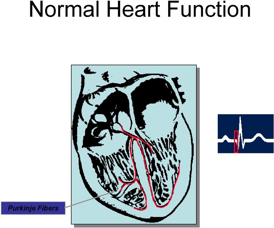 Function