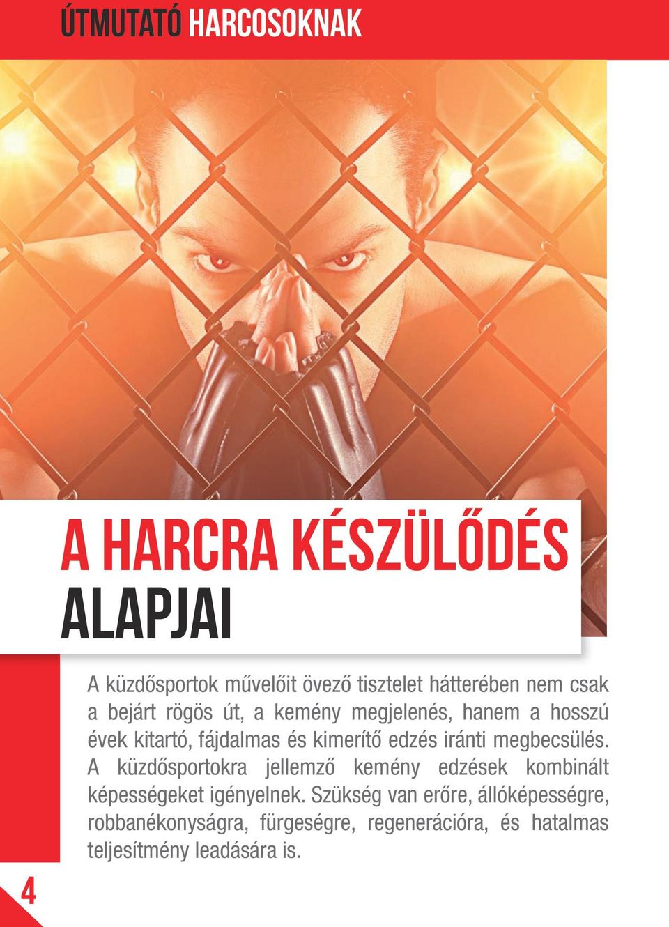 iránti megbecsülés. A küzdősportokra jellemző kemény edzések kombinált képességeket igényelnek.
