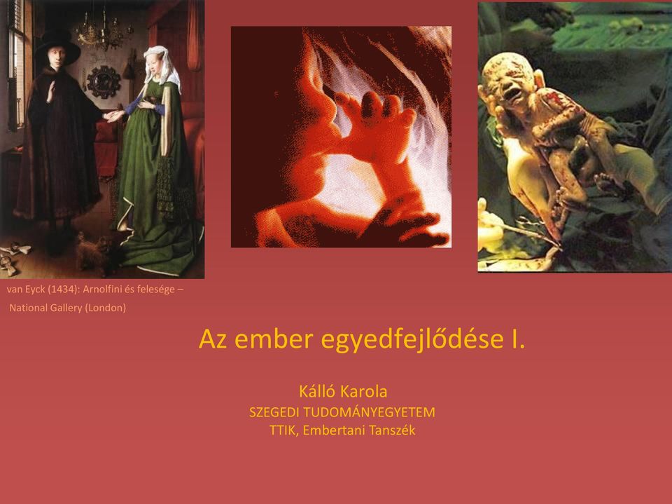 ember egyedfejlődése I.