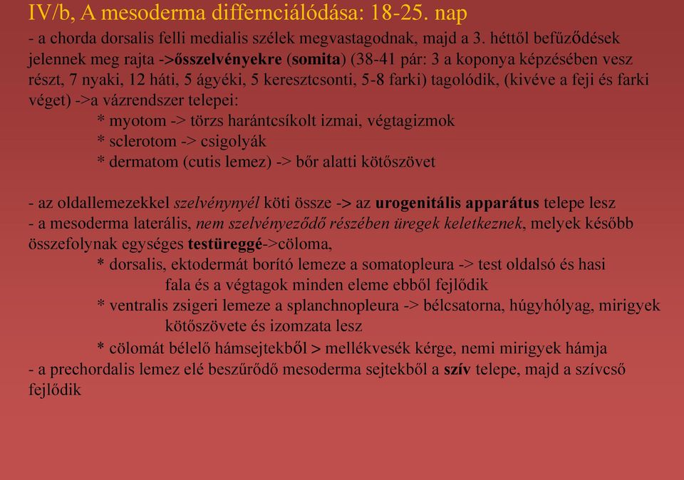 farki véget) ->a vázrendszer telepei: * myotom -> törzs harántcsíkolt izmai, végtagizmok * sclerotom -> csigolyák * dermatom (cutis lemez) -> bőr alatti kötőszövet - az oldallemezekkel szelvénynyél