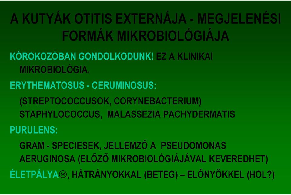 ERYTHEMATOSUS - CERUMINOSUS: (STREPTOCOCCUSOK, CORYNEBACTERIUM) STAPHYLOCOCCUS, MALASSEZIA