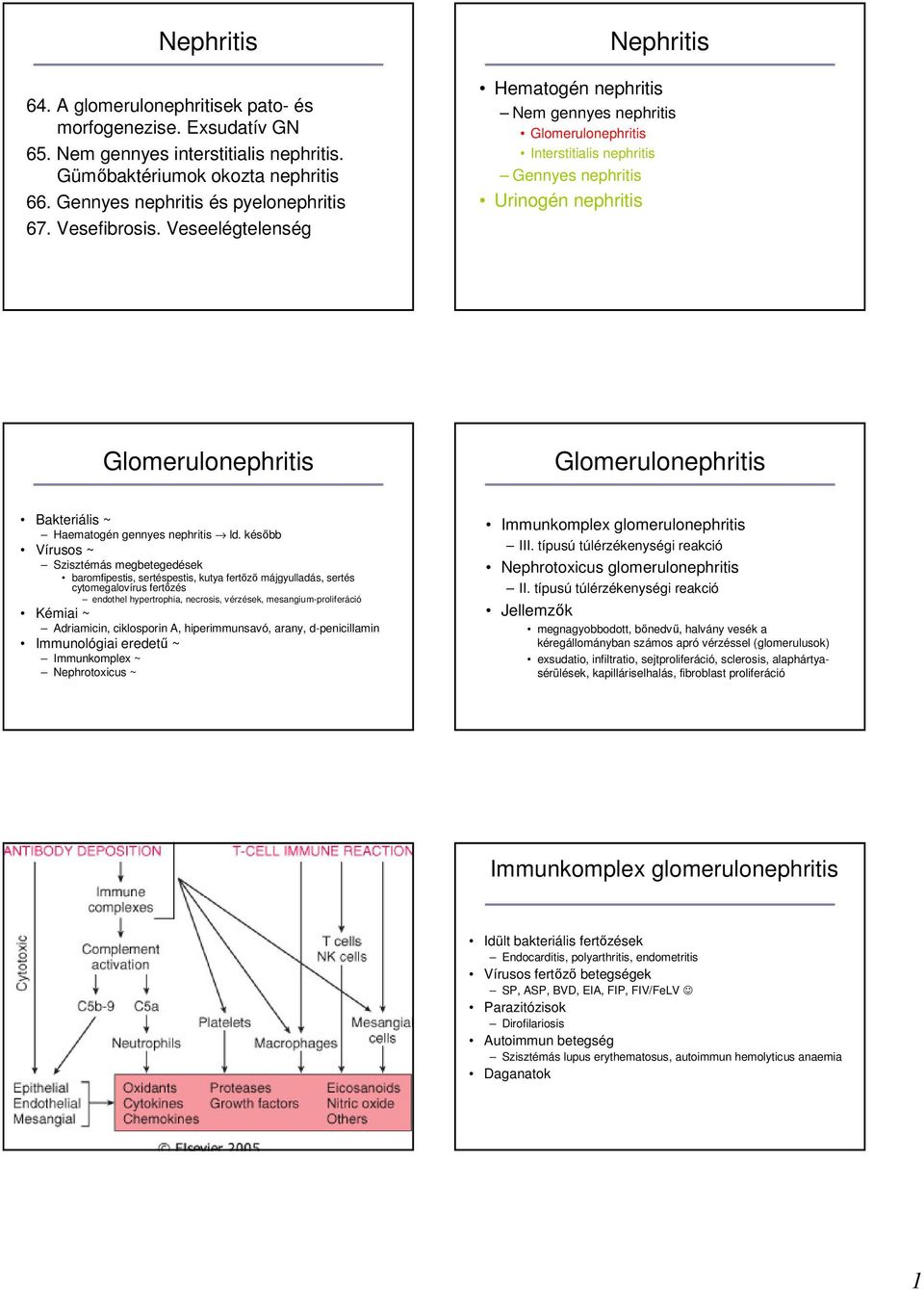 Nephritis. Nephritis. Glomerulonephritis. Glomerulonephritis. Immunkomplex  glomerulonephritis. Hematogén nephritis - PDF Ingyenes letöltés