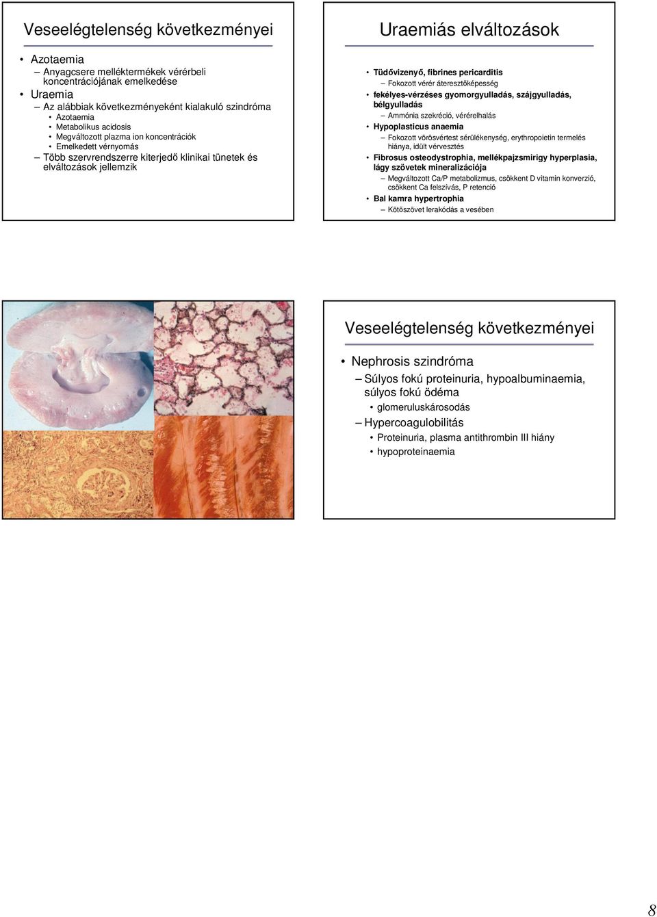 vérér áteresztıképesség fekélyes-vérzéses gyomorgyulladás, szájgyulladás, bélgyulladás Ammónia szekréció, vérérelhalás Hypoplasticus anaemia Fokozott vörösvértest sérülékenység, erythropoietin