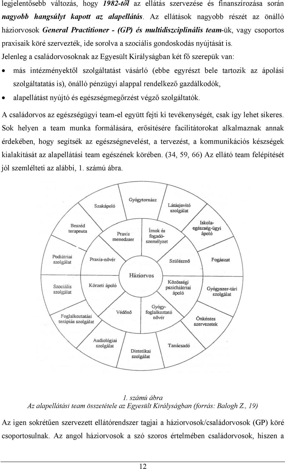 is. Jelenleg a családorvosoknak az Egyesült Királyságban két fő szerepük van: más intézményektől szolgáltatást vásárló (ebbe egyrészt bele tartozik az ápolási szolgáltatatás is), önálló pénzügyi