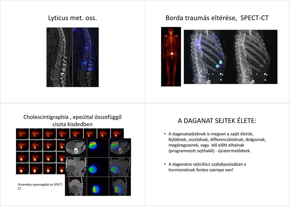 SEJTEK ÉLETE: A daganatsejteknek is megvan a saját életük, fejlődnek, osztódnak, differenciálódnak,