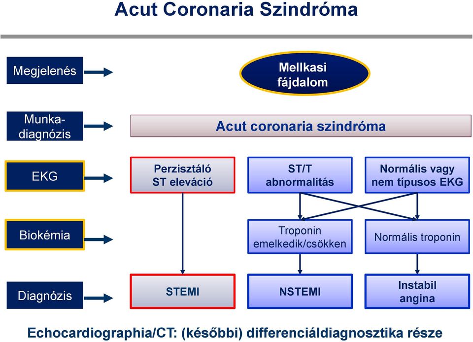 nem típuss EKG Bikémia Trpnin emelkedik/csökken Nrmális trpnin Diagnózis