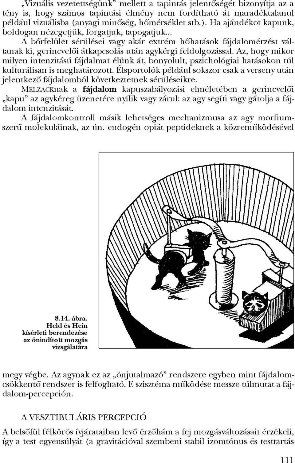 Az, hogy mikor milyen intenzitású fájdalmat élünk át, bonyolult, pszichológiai hatásokon túl kulturálisan is meghatározott.