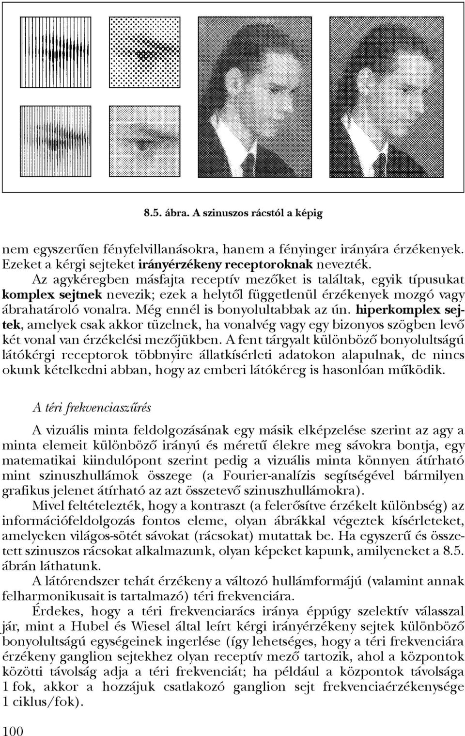 hiperkomplex sejtek, amelyek csak akkor tüzelnek, ha vonalvég vagy egy bizonyos szögben levô két vonal van érzékelési mezôjükben.