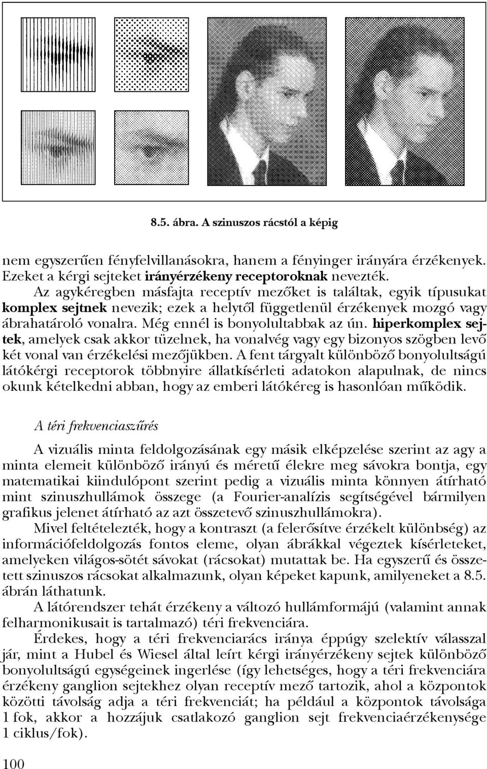 hiperkomplex sejtek, amelyek csak akkor tüzelnek, ha vonalvég vagy egy bizonyos szögben levô két vonal van érzékelési mezôjükben.