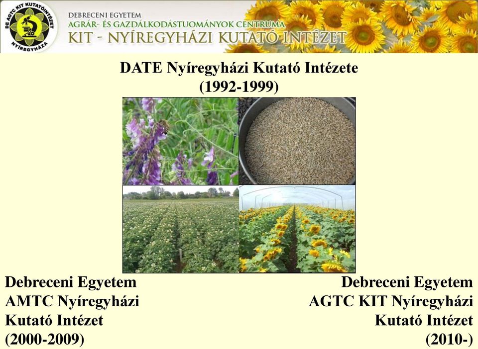 Nyíregyházi Kutató Intézet (2000-2009)