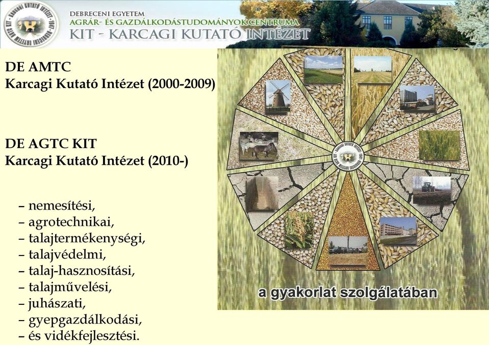 talajtermékenységi, talajvédelmi, talaj-hasznosítási,