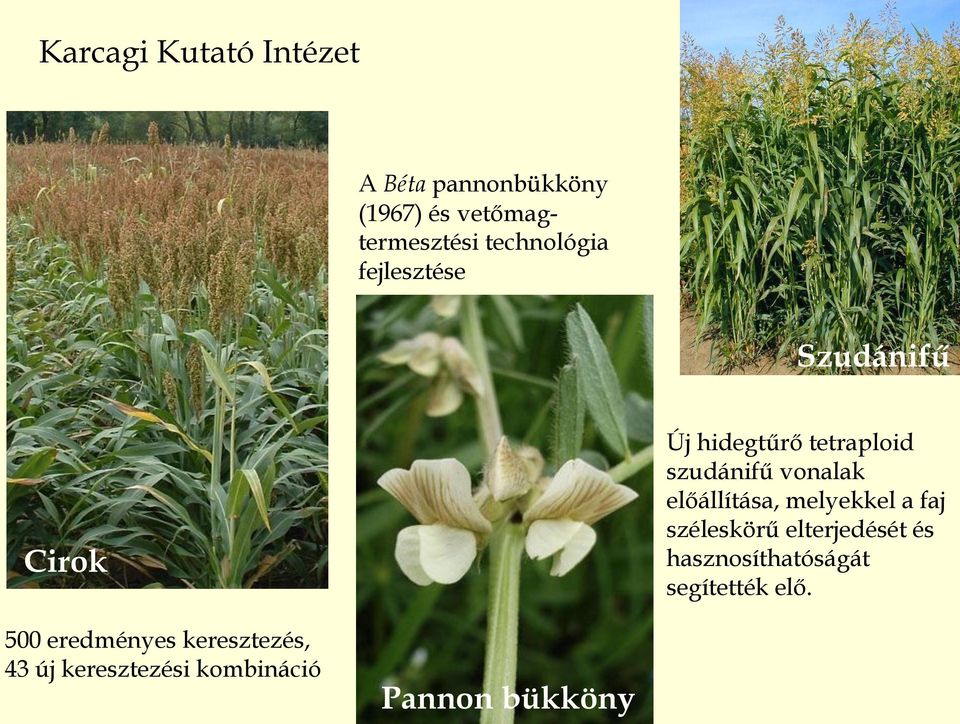 vonalak előállítása, melyekkel a faj széleskörű elterjedését és