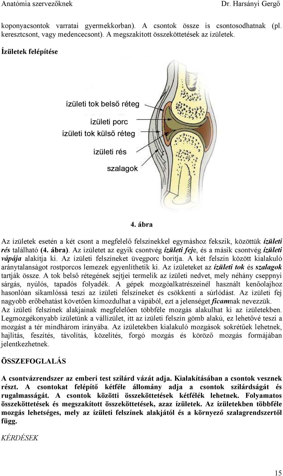 ábra Az ízületek esetén a két csont a megfelelı felszínekkel egymáshoz fekszik, közöttük ízületi rés található (4. ábra).