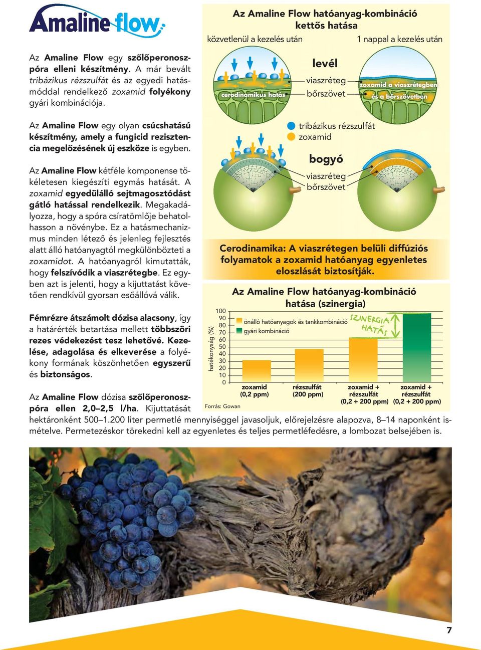 levél viaszréteg bôrszövet Az Amaline Flow egy olyan csúcs hatású készítmény, amely a fungicid rezisztencia megelôzésének új eszköze is egyben.