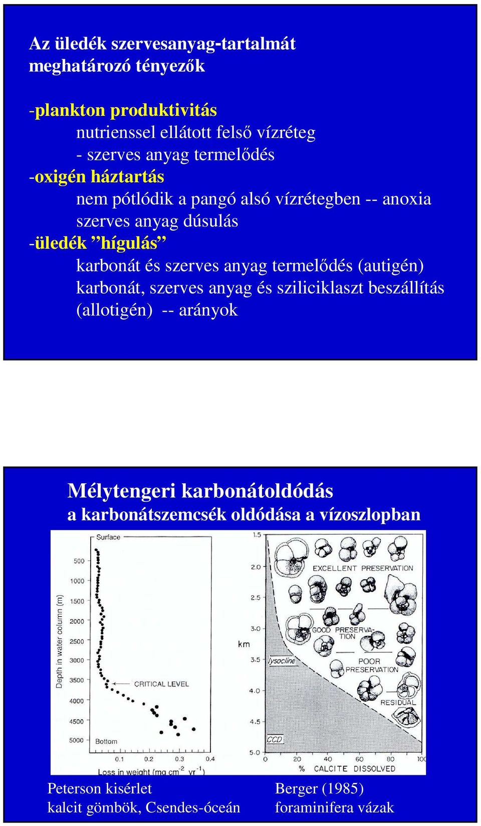 szerves anyag termelődés (autigén) karbonát, szerves anyag és sziliciklaszt beszállítás (allotigén) -- arányok Mélytengeri