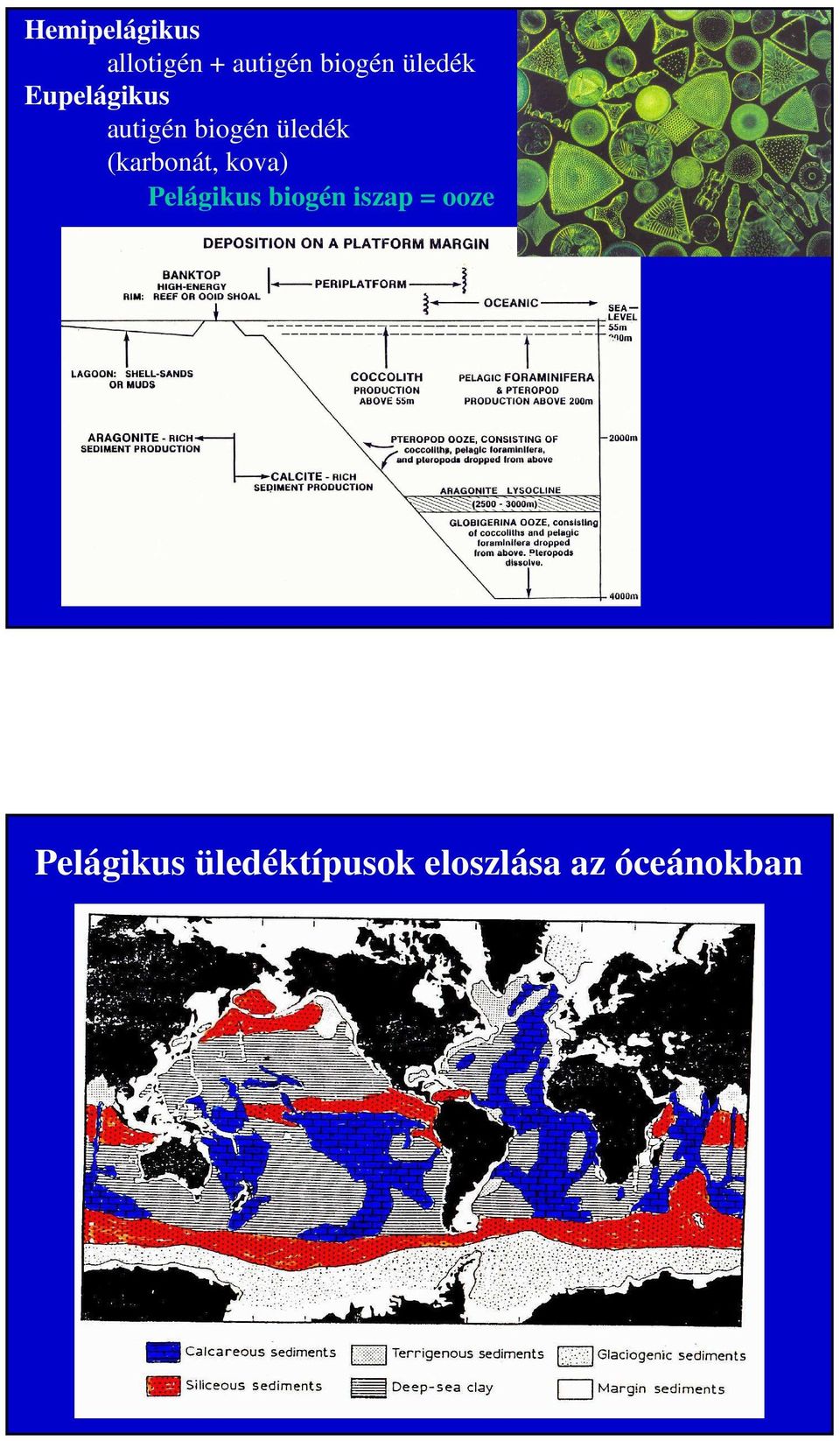 (karbonát, kova) Pelágikus biogén iszap =