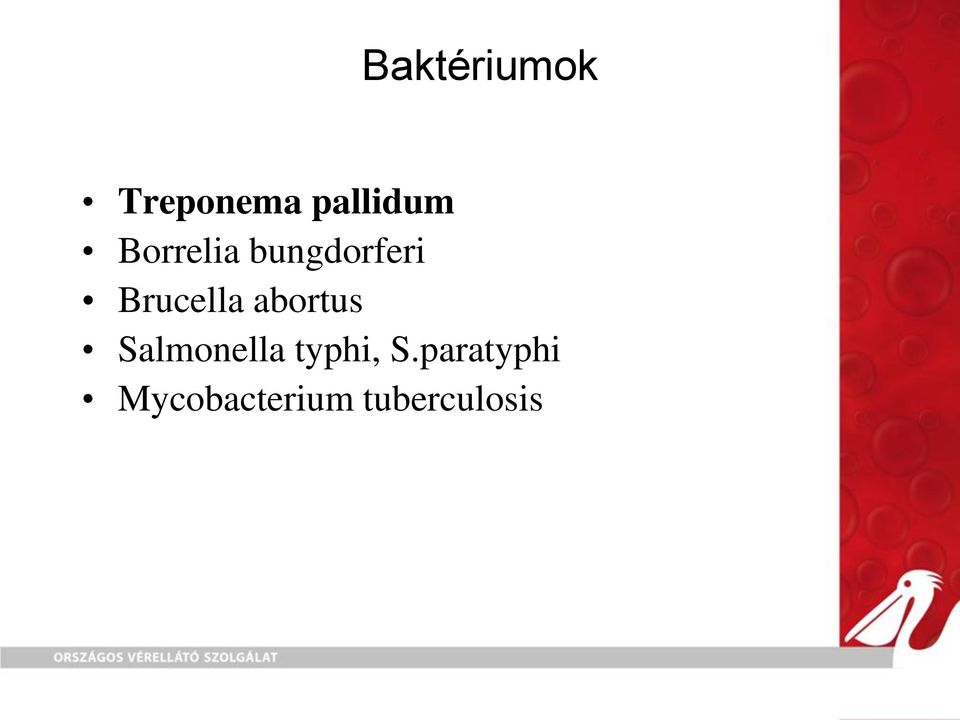 abortus Salmonella typhi, S.