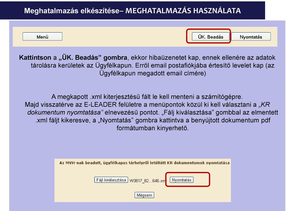 Erről email postafiókjába értesítő levelet kap (az Ügyfélkapun megadott email címére) A megkapott.