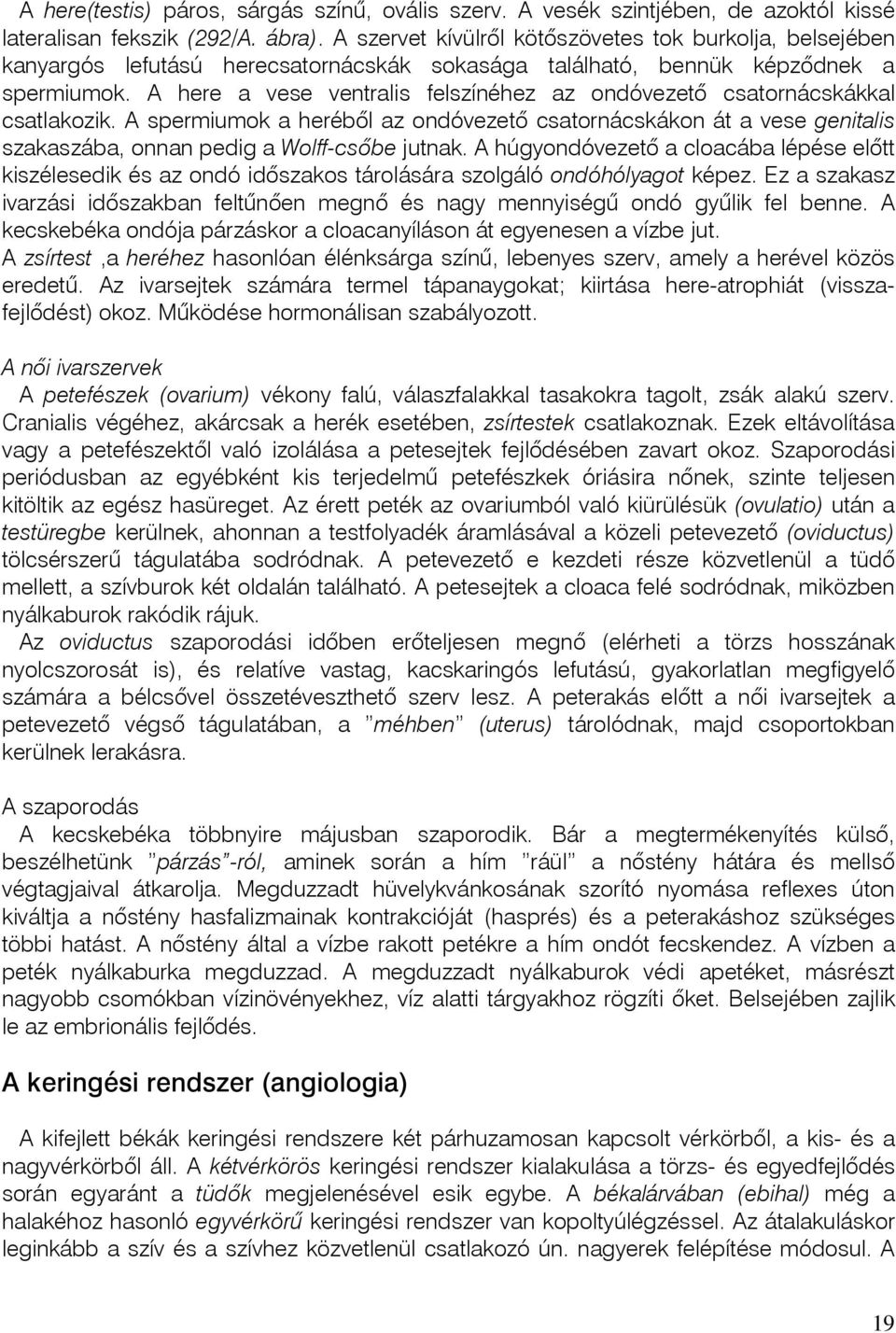 A here a vese ventralis felszínéhez az ondóvezetõ csatornácskákkal csatlakozik. A spermiumok a herébôl az ondóvezetô csatornácskákon át a vese genitalis szakaszába, onnan pedig a Wolff-csôbe jutnak.