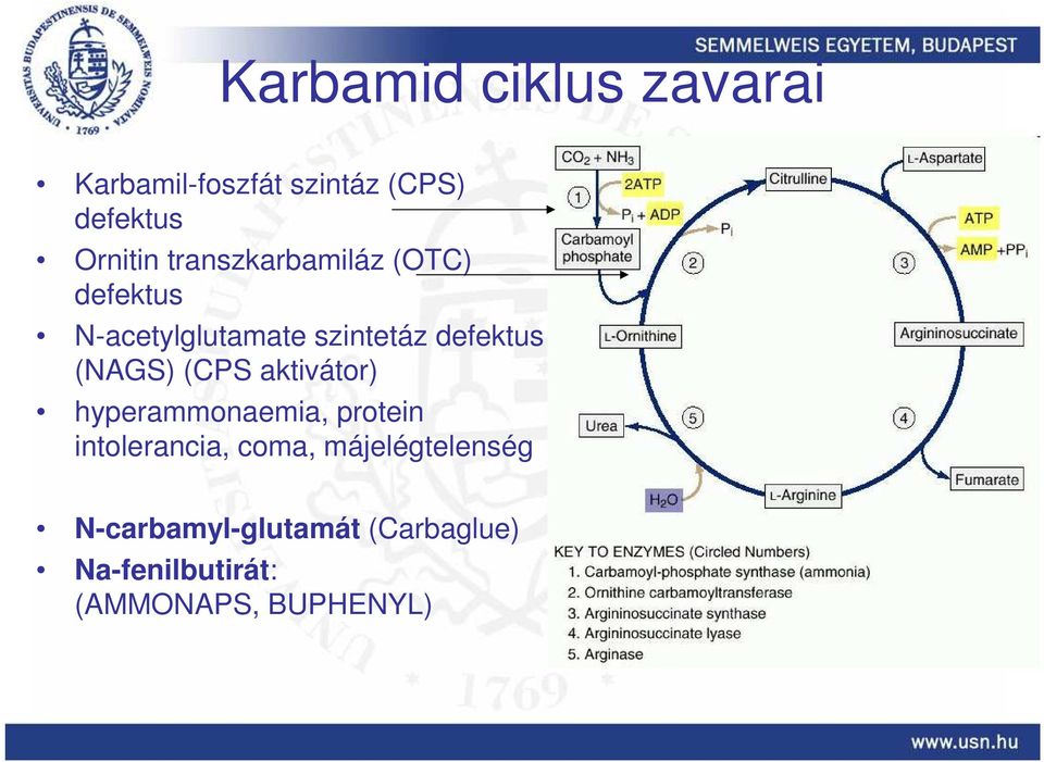 (NAGS) (CPS aktivátor) hyperammonaemia, protein intolerancia, coma,