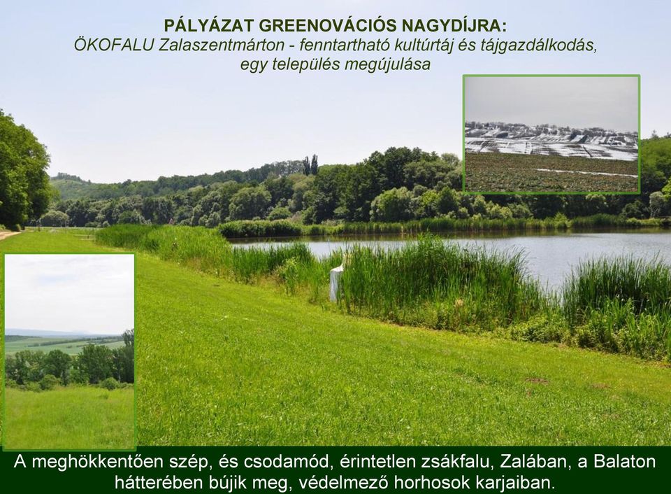 Zalában, a Balaton hátterében