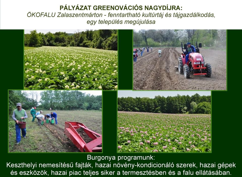 hazai gépek és eszközök, hazai piac teljes