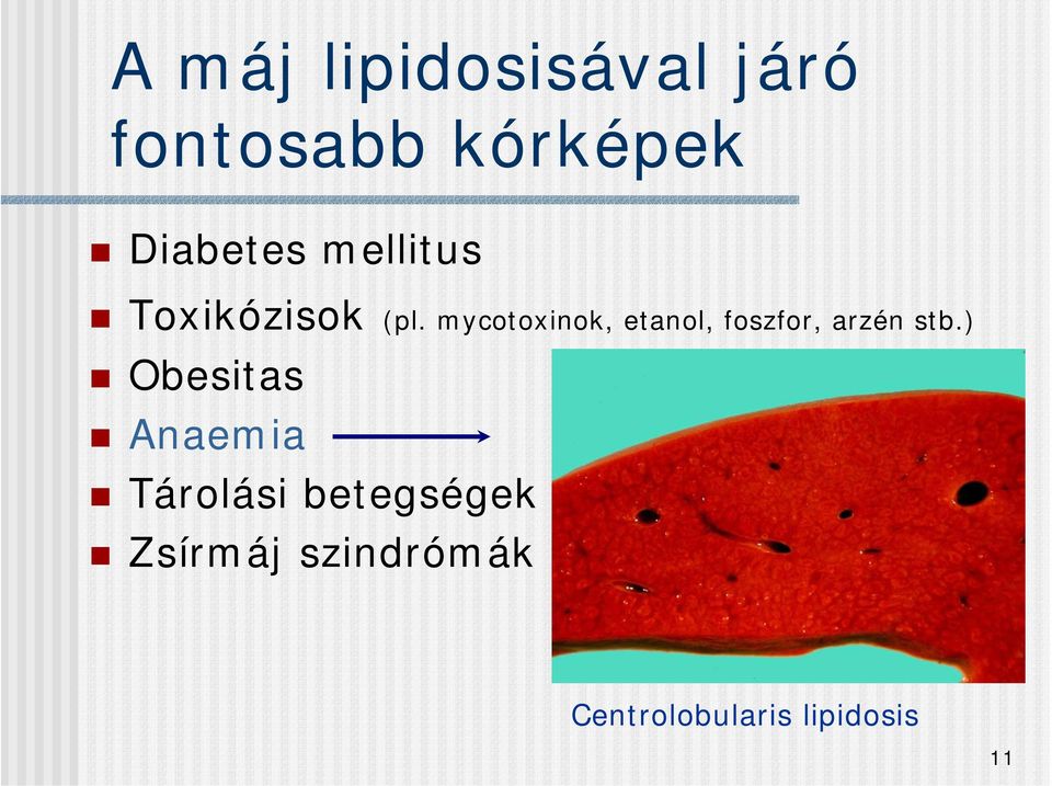 mycotoxinok, etanol, foszfor, arzén stb.