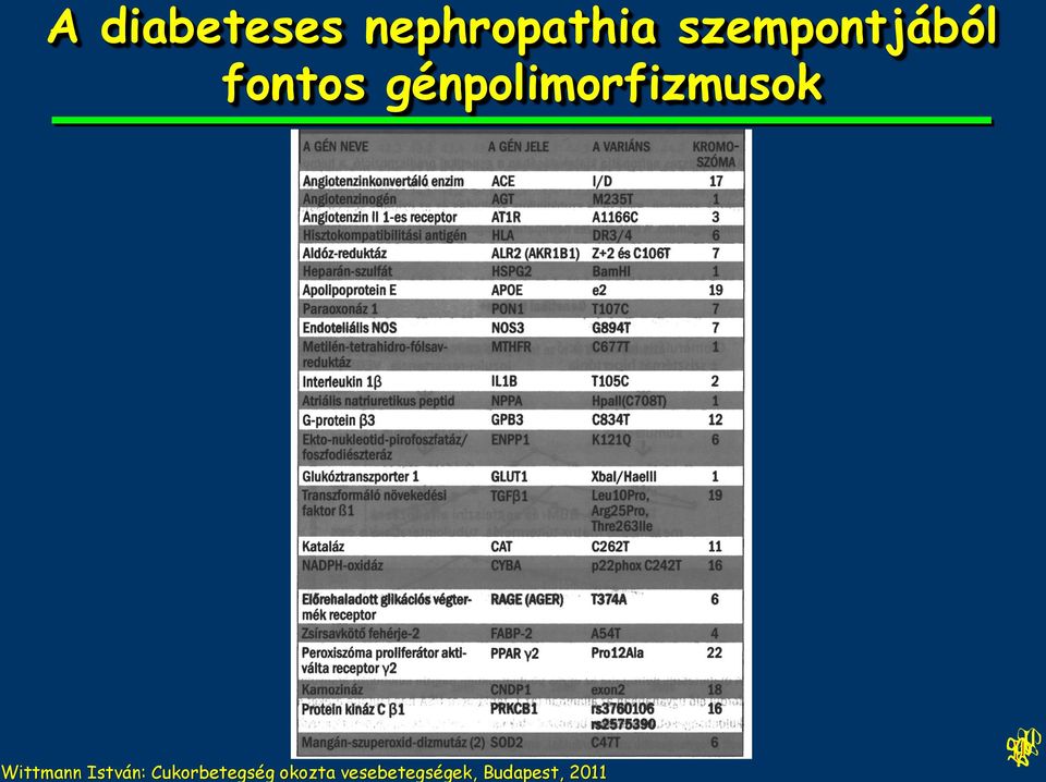 génpolimorfizmusok Wittmann