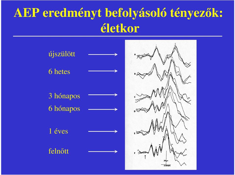 életkor újszülött 6