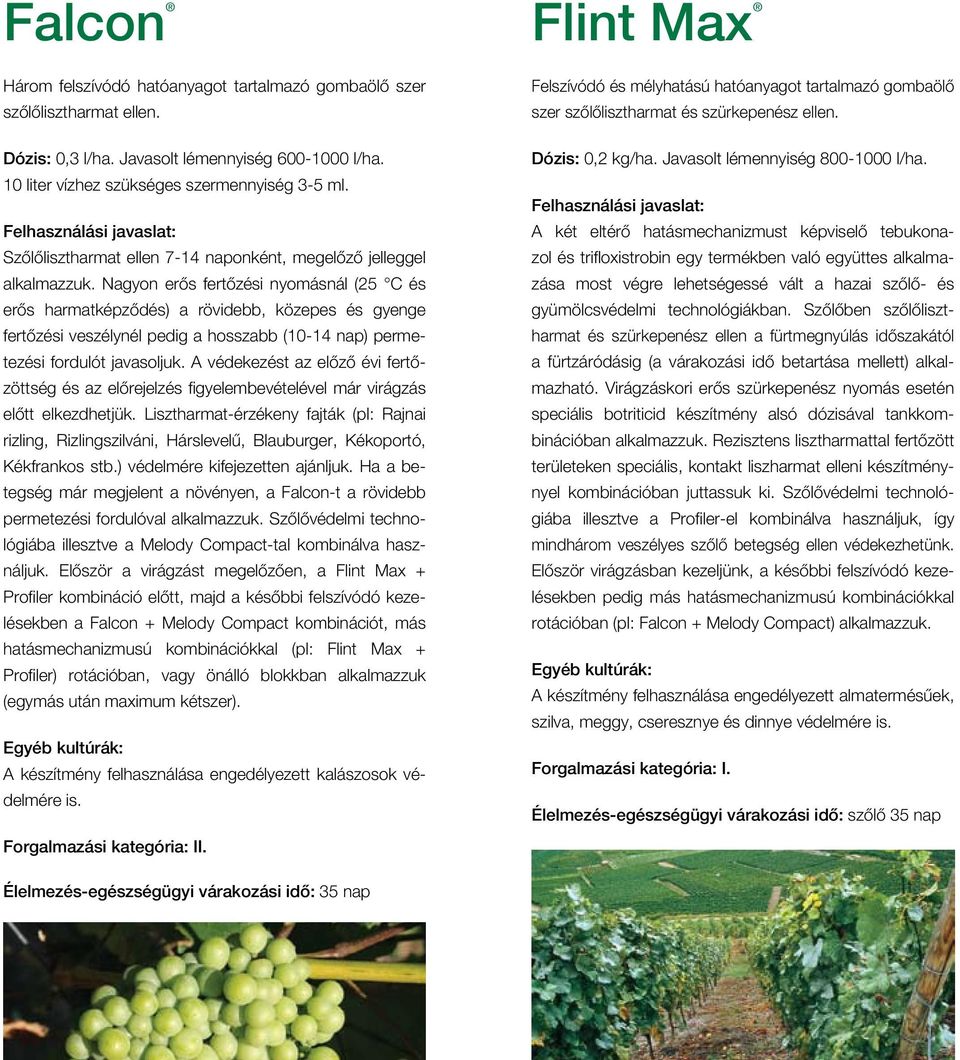 Nagyon erôs fertôzési nyomásnál (25 C és erôs harmatképzôdés) a rövidebb, közepes és gyenge fertôzési veszélynél pedig a hosszabb (10-14 nap) permetezési fordulót javasoljuk.