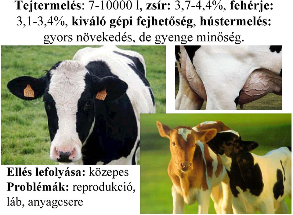 gyors növekedés, de gyenge minőség.