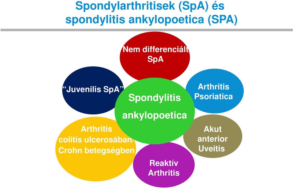 colitis ulcerosában/ Crohn betegségben Spondylitis