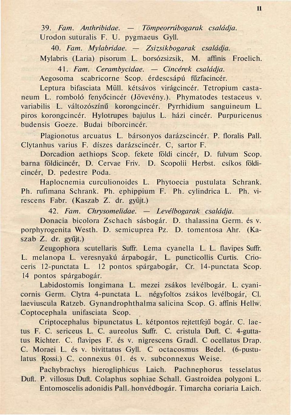 Phymatodes testaceus v. variabilis L. változószínű korongcincér. Pyrrhidium sanguineum L. piros korongcincér. Hylotrupes bajulus L. házi cincér. Purpuricenus budensis Goeze. Budai bíborcincér.