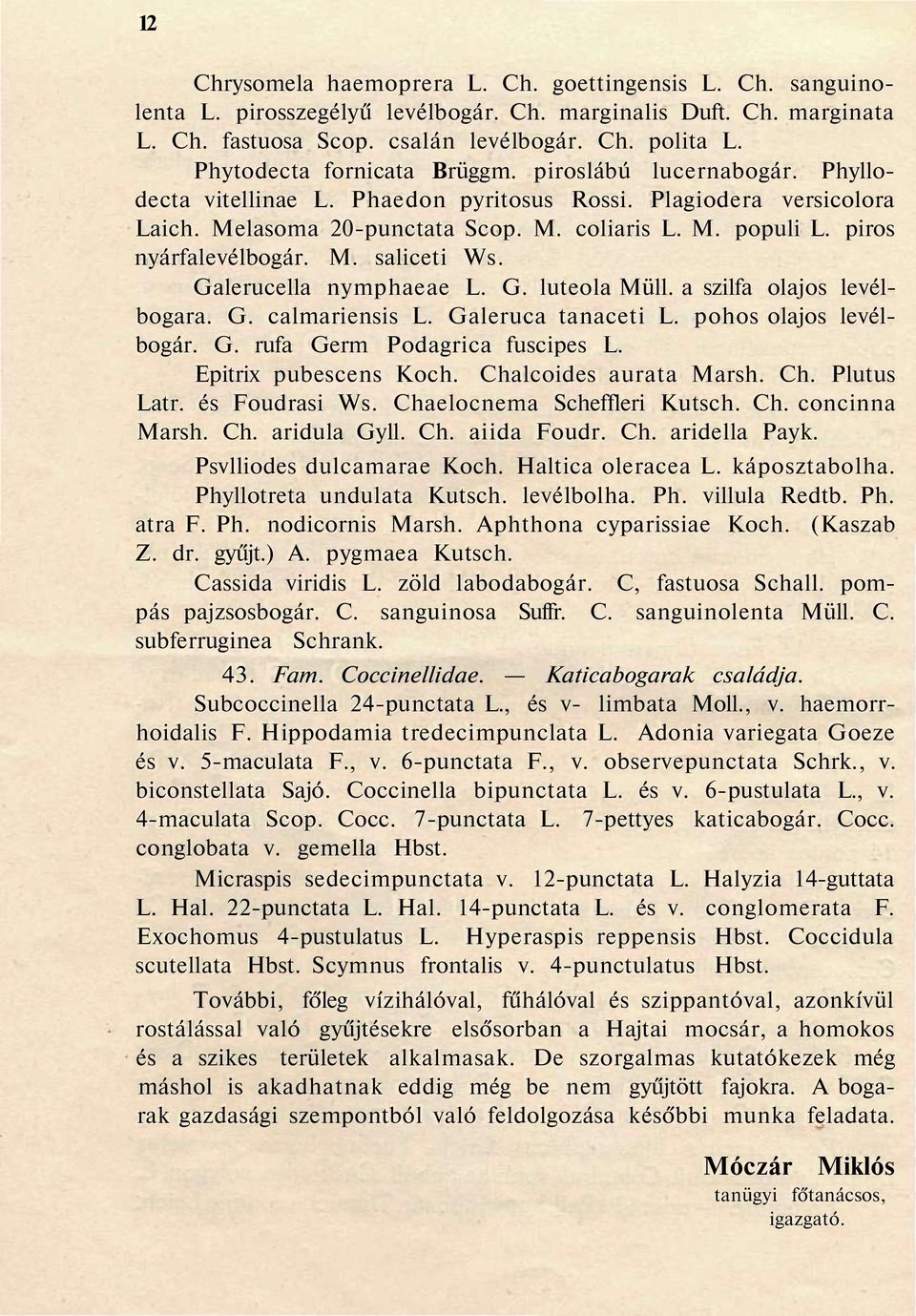piros nyárfalevélbogár. M. saliceti Ws. Galerucella nymphaeae L. G. luteola Müll. a szilfa olajos levélbogara. G. calmariensis L. Galeruca tanaceti L. pohos olajos levélbogár. G. rufa Germ Podagrica fuscipes L.