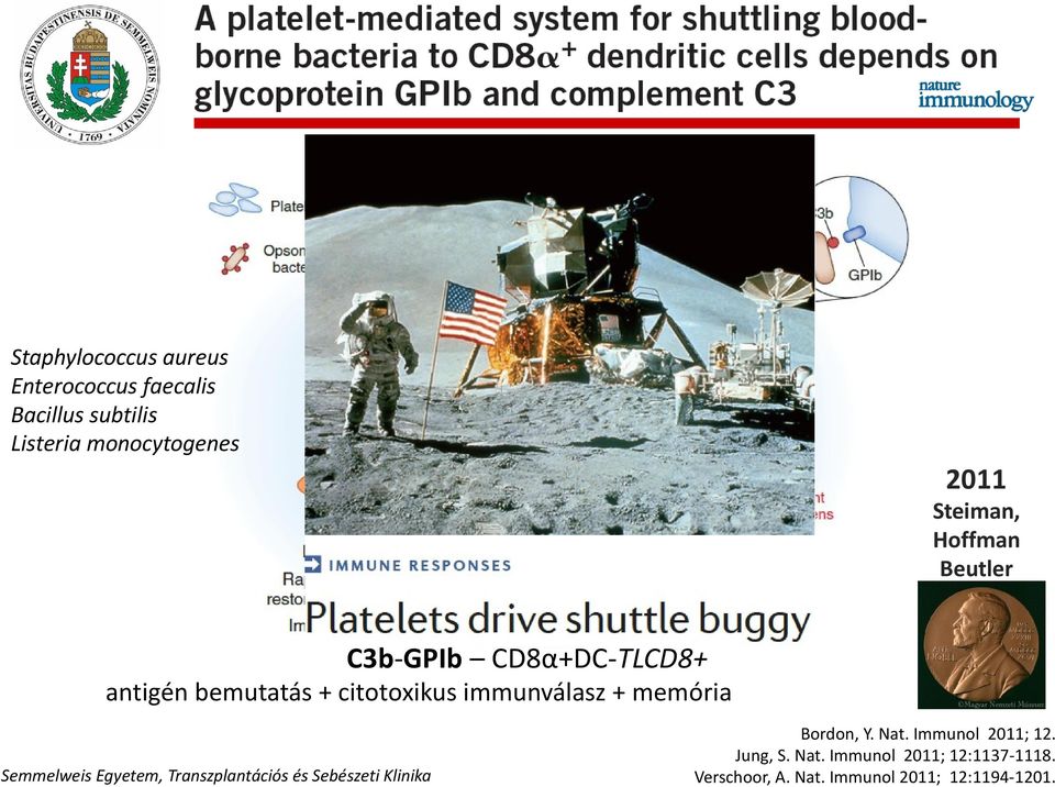 bemutatás + citotoxikus immunválasz + memória Bordon, Y. Nat. Immunol 2011; 12.