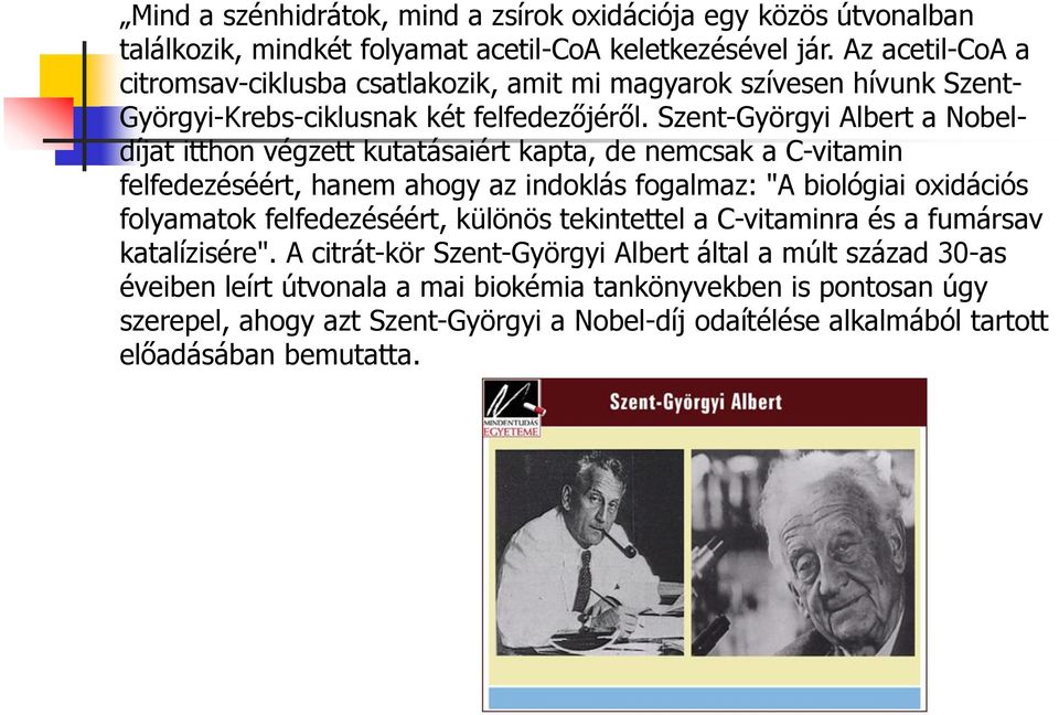 Szent-Györgyi Albert a Nobeldíjat itthon végzett kutatásaiért kapta, de nemcsak a C-vitamin felfedezéséért, hanem ahogy az indoklás fogalmaz: "A biológiai oxidációs folyamatok