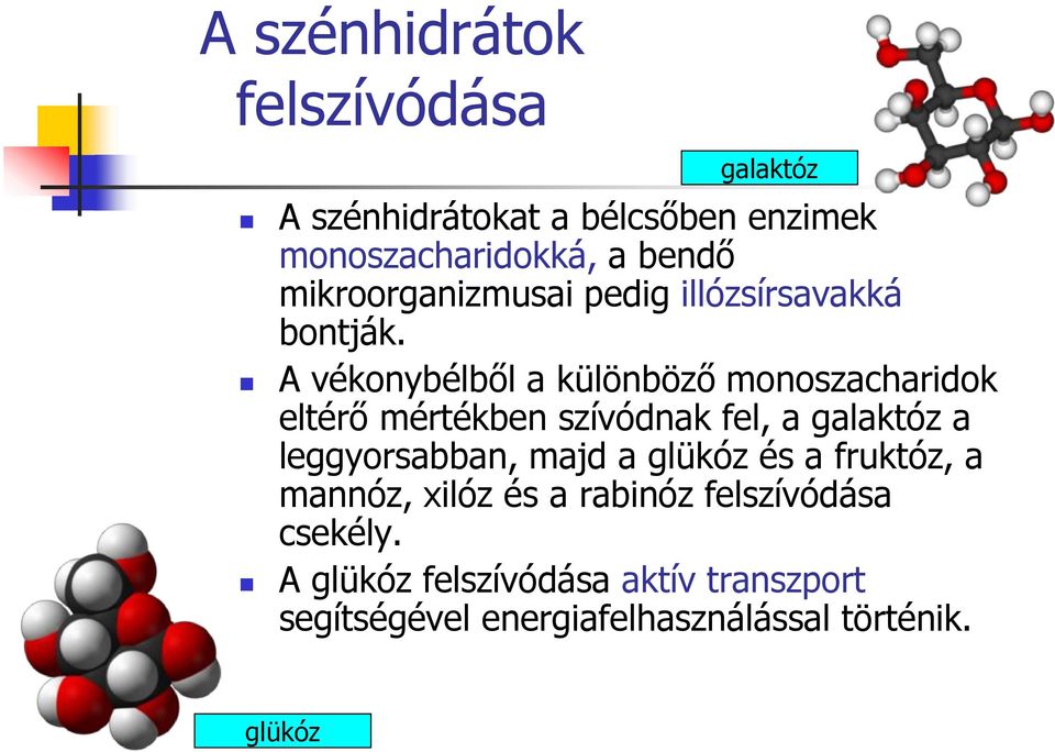 A vékonybélből a különböző monoszacharidok eltérő mértékben szívódnak fel, a galaktóz a leggyorsabban,