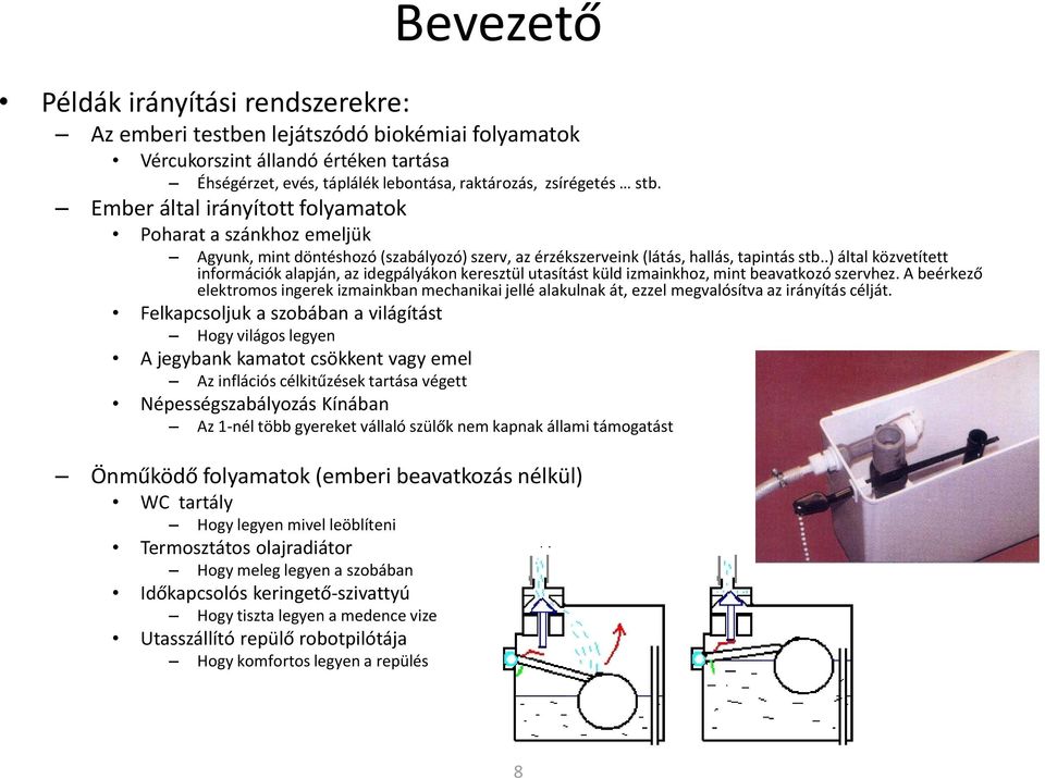 .) által közvetített információk alapján, az idegpályákon keresztül utasítást küld izmainkhoz, mint beavatkozó szervhez.