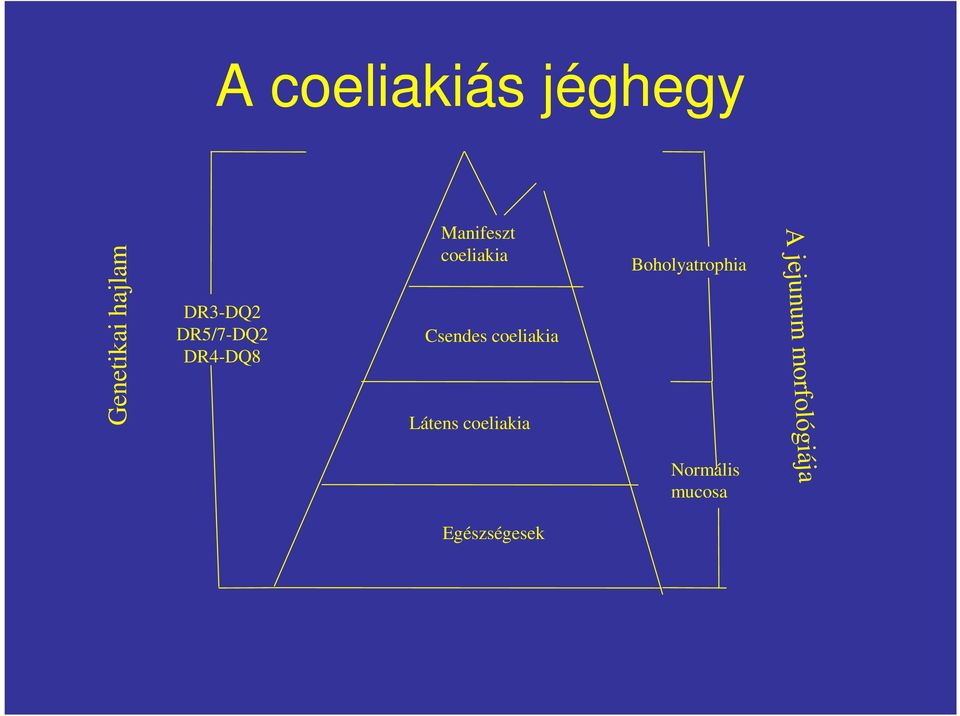 coeliakia Látens coeliakia Boholyatrophia A