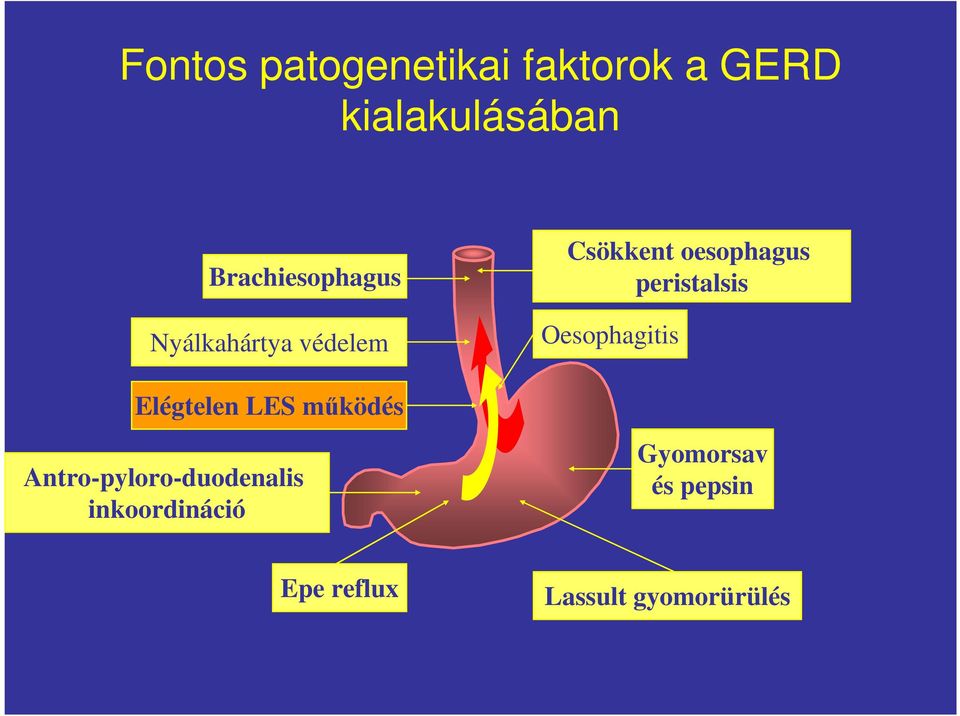 peristalsis Oesophagitis Elégtelen LES mőködés