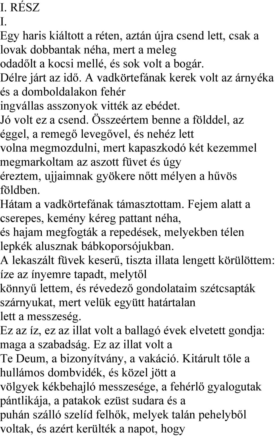 Összeértem benne a földdel, az éggel, a remegő levegővel, és nehéz lett volna megmozdulni, mert kapaszkodó két kezemmel megmarkoltam az aszott füvet és úgy éreztem, ujjaimnak gyökere nőtt mélyen a