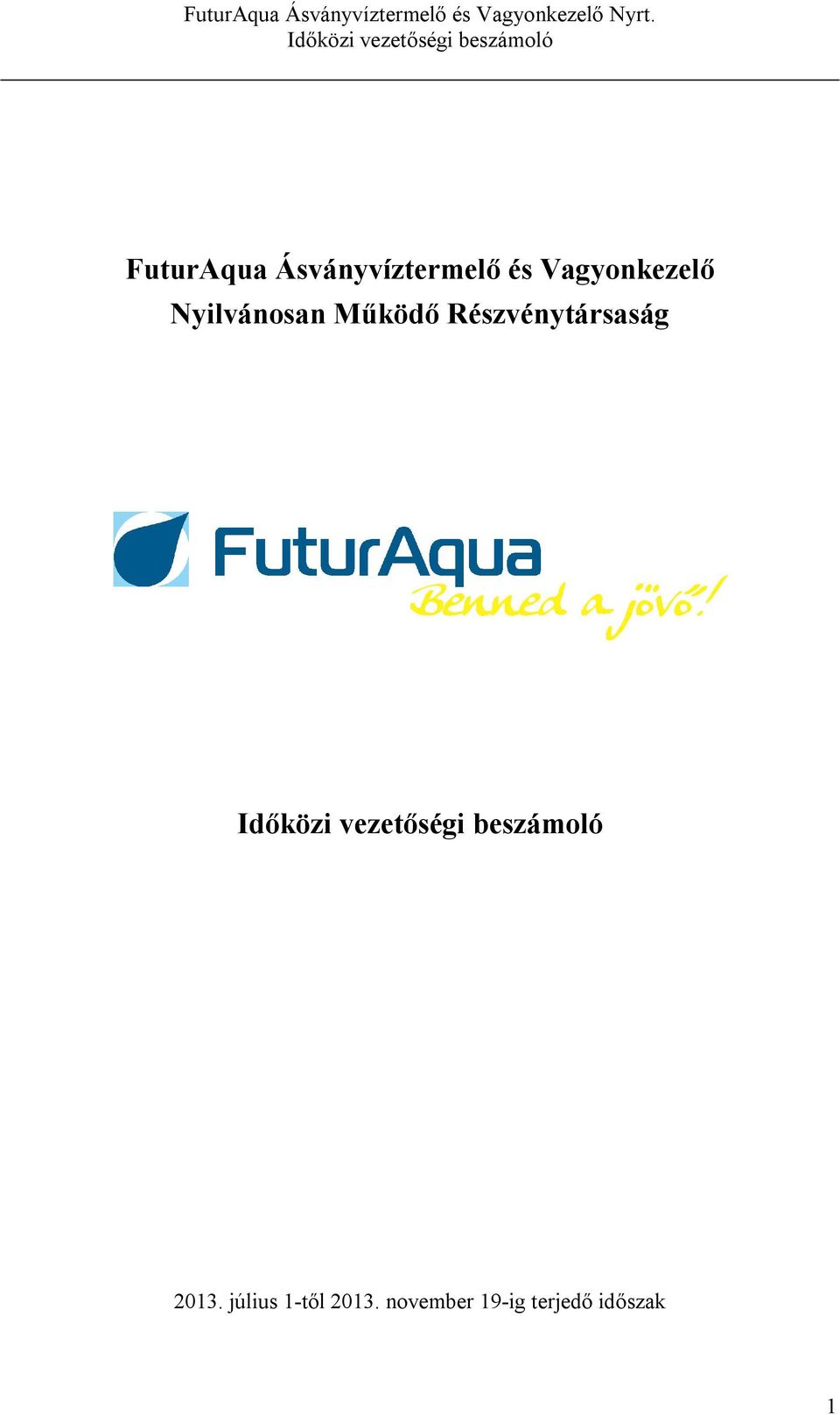 Részvénytársaság 2013.